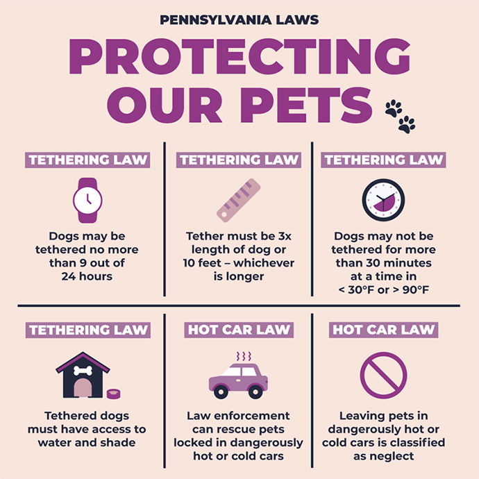 Pennsylvania Laws Protecting Our Pets