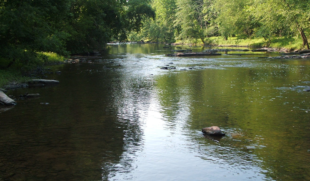 Tohickon Creek