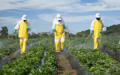 Senator Santarsiero Proposes Bill Banning the Harmful Pesticide Chlorpyrifos