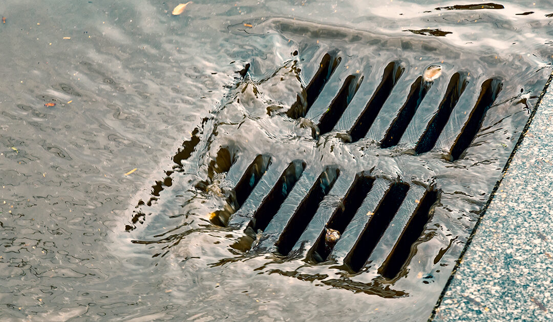drain - sewer