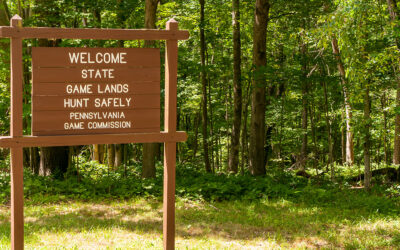 Senator Santarsiero and Representative Ullman Announce $81,200 for Acquisition of State Game Lands in Haycock Township
